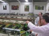 El día 14 finaliza el plazo abierto por la Junta para solicitar ayudas para transformar y comercializar productos agrícolas