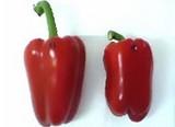 El lamuyo rojo se mantiene como la hortaliza con mejor precio en junio