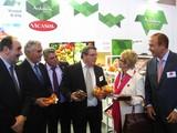 La Junta, Cajamar y COEXPHAL organizan el XI seminario técnico agronómico sobre producción y comercialización de pimientos 'snack'