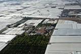 Cajamar incrementa un 65% la financiación de la nueva campaña agrícola