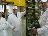 Almería aumenta un 10,9% el volumen de exportaciones hortofrutícolas entre septiembre de 2013 y mayo de 2014