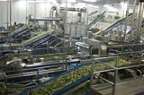 Primaflor amplía en 2.000 metros cuadrados su capacidad de almacenamiento frigorífico