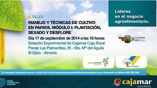 La Estación Experimental 'Las Palmerillas' acoge el taller ‘Manejo y técnicas de cultivo en papaya’