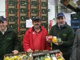 Almería incrementa un 7,6% el volumen de las exportaciones de productos agroalimentarios entre enero y julio