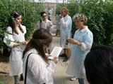 Las periodistas británicas comprueban las virtudes del sector hortícola en su visita a la provincia