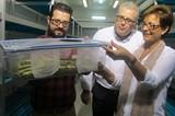 La Junta ofrece a Entonova recursos para seguir innovando en control biológico y ahorrar energía en sus instalaciones