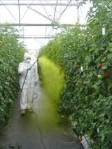 La Junta de Andalucía celebra en La Cañada un curso básico de aplicador de productos fitosanitarios