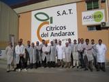 Una delegación de productores de Palma del Río visita la provincia para conocer el modelo agrícola de Almería