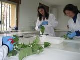 La Junta de Andalucía celebra en La Mojonera un curso sobre análisis de suelos, plantas y agua