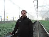 Cristalplant ofrece injertos de sandía hechos a medida de la demanda del agricultor