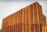 La fabricación y utilización de palets de madera en España creció en 2013