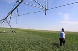 UPA pide a Agricultura una negociación con Industria y sector para rebajar el coste eléctrico a los regadíos
