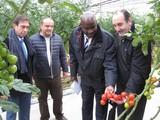 La Junta de Andalucía muestra al embajador de Kenia el modelo de horticultura sostenible de Almería
