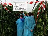 Olimpiakos F1 rebrota a pesar del frío y consigue ampliar el ciclo de producción de pimiento California rojo tardío