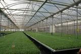 La mayoría de los trabajadores en la industria de obtención vegetal son de I+D