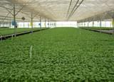 Diputados del PP, PSOE, UPyD y CIU valoran el futuro del agricultor en el contexto de la nueva PAC
