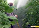 Asaja espera la publicación de la orden con la modificación de los módulos de 2014 para las actividades agrícolas y ganaderas