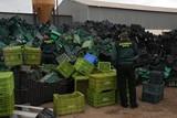 La Guardia Civil detiene a los autores del hurto de 380 cajas de una explotación agrícola