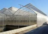 Andalucía traslada al Ministerio propuestas para el reglamento de producción y etiquetado de productos ecológicos