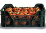 Gran interés del sector hortofrutícula español por los mercados asiáticos