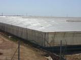 El paro en agricultura baja en agosto un 2,98% alcanzando la cifra de 194.167 desempleados