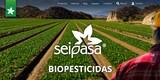Seipasa estrena página web: www.seipasa.com