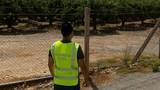 La Guardia Civil detiene a cinco roqueteros que habían robado 10 toneladas de limones en una finca en Alicante