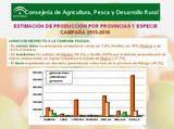 El primer aforo de cítricos para la campaña 2015-2016 prevé una producción de 1,7 millones de toneladas en Andalucía