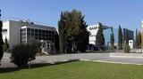 BASF ofrece Soluciones AgCelence para el cultivo de lechuga