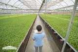 Cristalplant acude a Madrid para conocer los últimos avances del sector hortofrutícola