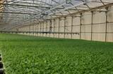 Campoejido presta servicio a más de 2.700 agricultores de toda la Comarca del Poniente