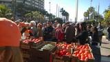 UPA anuncia una protesta para el próximo 25 de noviembre por los bajos precios