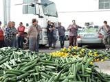 Agricultores se sienten olvidados por unas comercializadoras “más preocupadas por sus clientes”