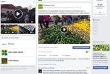 Récord absoluto para el Facebook de Fhalmería que logra cerca de 300 'me gusta' en un solo día