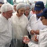 La superficie de producción ecológica almeriense en 2015 sube un 20% respecto al año pasado