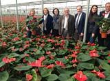 Agricultura reconoce que la suspensión del acuerdo agrícola con Marruecos puede suponer un “beneficio puntual” para las exportaciones