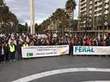 ASAJA y COAG denuncian la pasividad de las Asociaciones de comercio ante la grave crisis de precios del sector