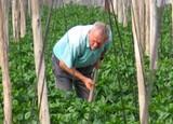 Este primer trimestre del año cada agricultor ha dejado de ingresar 14.500 euros por hectárea, según ASAJA