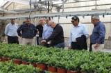 COEXPHAL muestra al delegado de Agricultura el sector de la planta ornamental