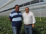 Terra Dis permite una desinfección rápida en periodos de cambio de cultivo para que el agricultor pierda el menor tiempo posible