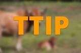 UPA critica que la agricultura sea “la moneda de cambio” en las negociaciones del TTIP