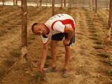 Las solicitudes de ayudas a jóvenes agricultores de la campaña 2015 desbordan las previsiones y el presupuesto de la Junta, dice ASAJA