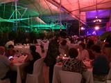 Hortalizas gourmet y espectáculo de la mano en invernadero de Clisol Agro