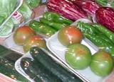 La Junta destaca el gran futuro del sector agroalimentario andaluz gracias a la firmeza de sus cimientos