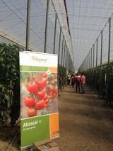 Hazera expande su presencia en España