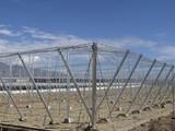 El Ayuntamiento de El Ejido recibe en 2016 un total de 200 peticiones de licencias para la modernización y construcción de invernaderos