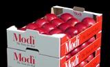 El Proyecto Internacional Modì® está creciendo. Dole Chile nuevo licenciatario Hemisferio Sur