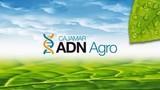  Cajamar entregará su distinción ‘ADN Agro’ al Ministerio de Agricultura, al ingeniero agrónomo Tomás García Azcárate y al cocinero Ricard Camarena