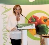 Carmen Ortiz destaca 'Andalucía Gourmet' como maridaje perfecto de la excelencia gastronómica y la variedad productiva