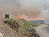 Medio Ambiente prorroga la prohibición de quemas agrícolas en terrenos forestales o de influencia de la provincia de Almería